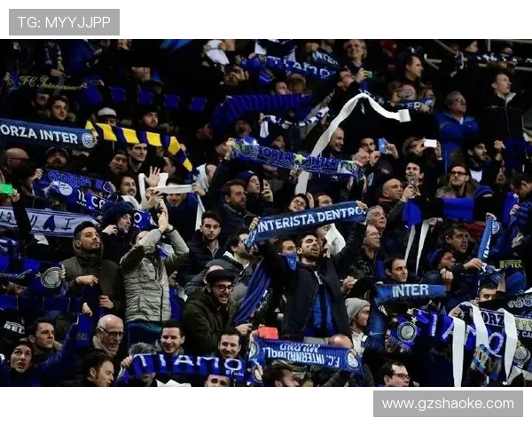 意甲新闻网站推荐，掌握最新赛事资讯和球队动态，球迷必看平台汇总